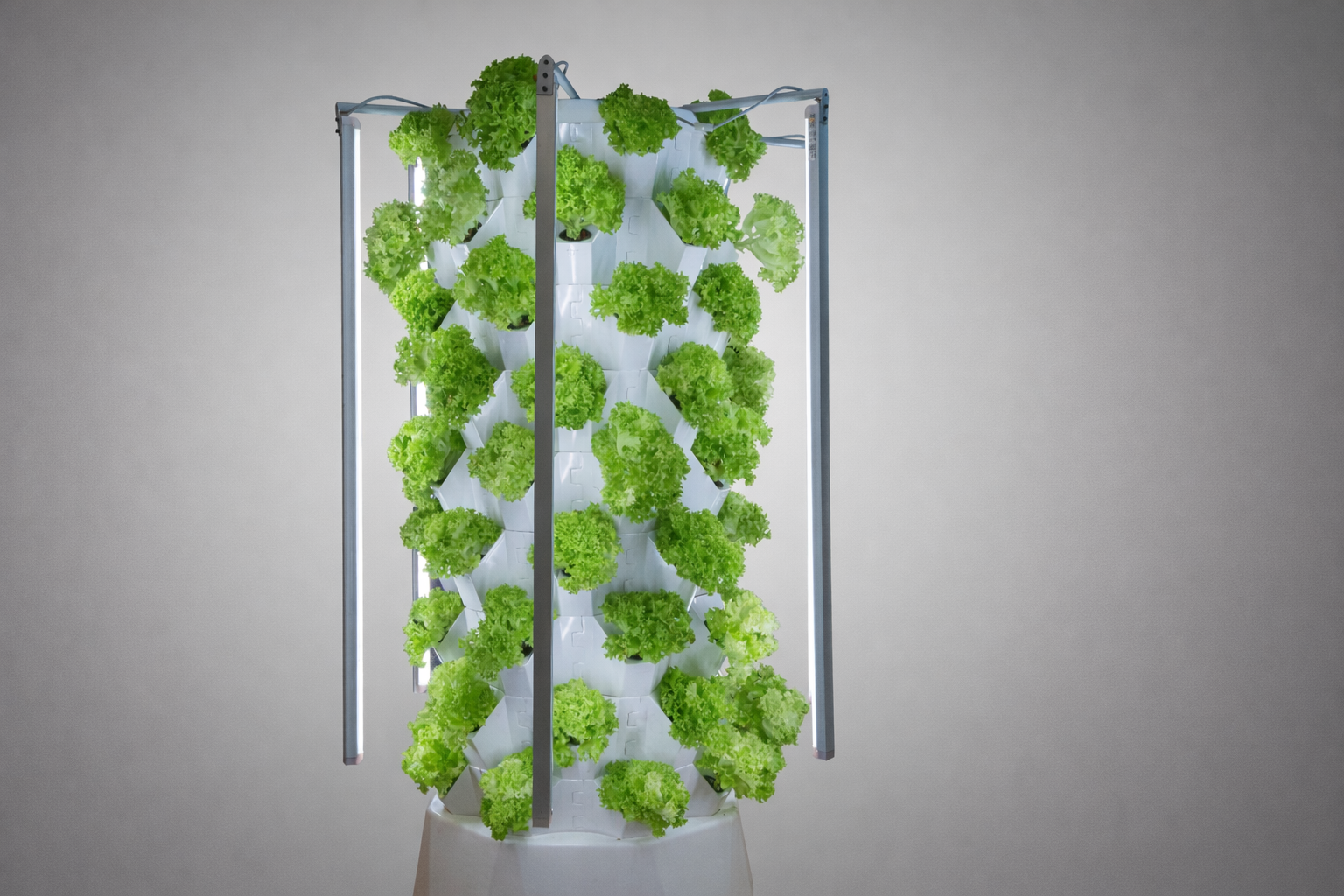 Hydroponic garden